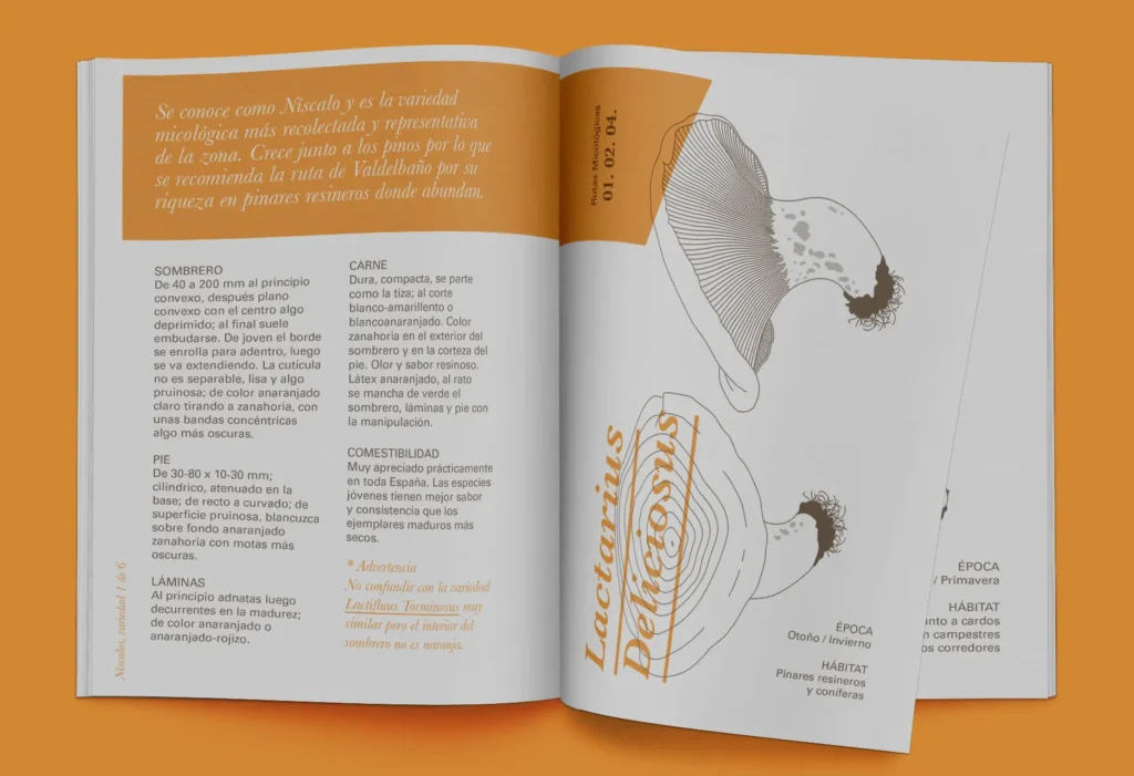 Páginas Interiores de la guía Tierras de Berlanga