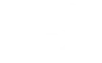 bosstrap