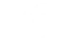 svelte